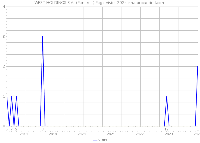 WEST HOLDINGS S.A. (Panama) Page visits 2024 