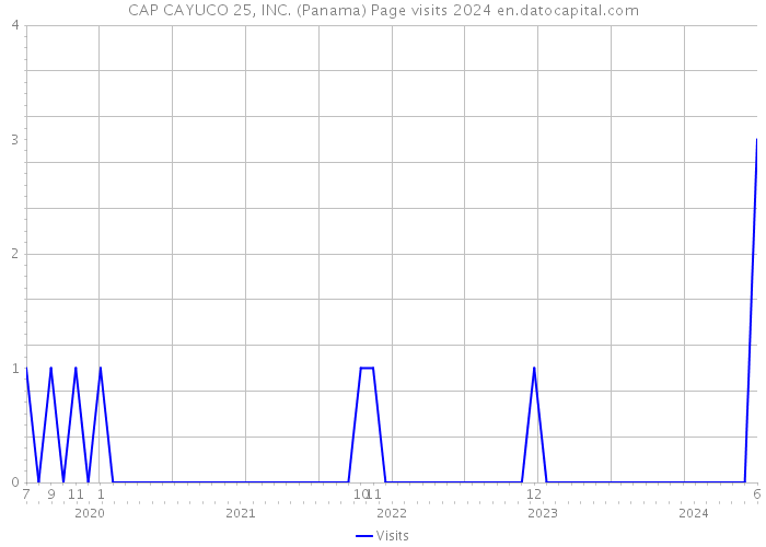CAP CAYUCO 25, INC. (Panama) Page visits 2024 