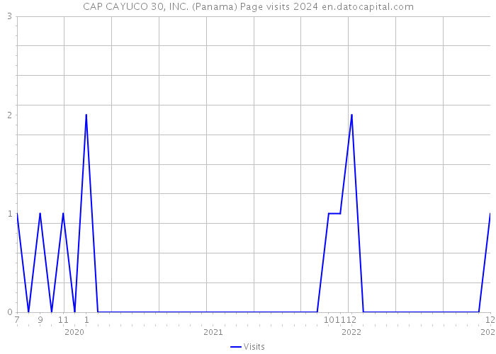 CAP CAYUCO 30, INC. (Panama) Page visits 2024 