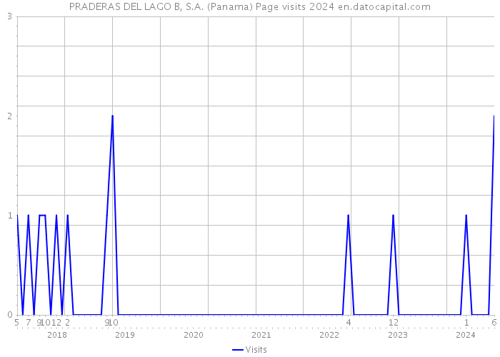 PRADERAS DEL LAGO B, S.A. (Panama) Page visits 2024 