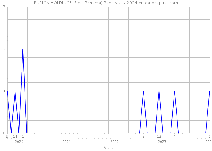 BURICA HOLDINGS, S.A. (Panama) Page visits 2024 