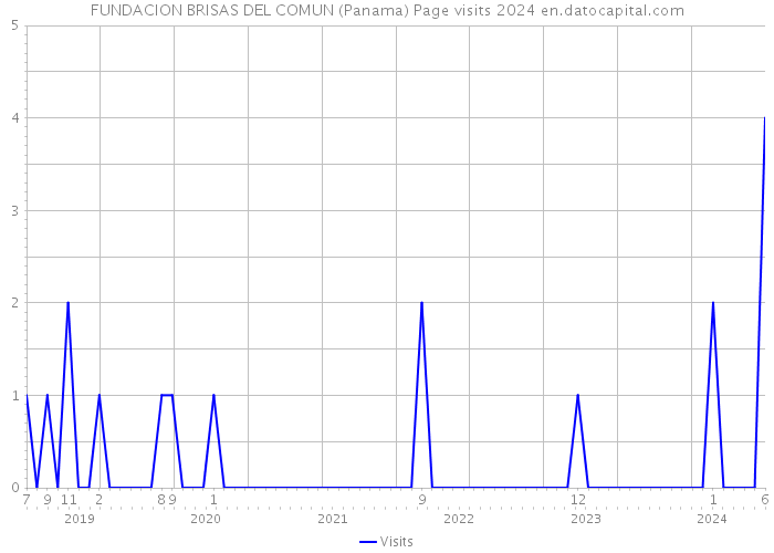 FUNDACION BRISAS DEL COMUN (Panama) Page visits 2024 