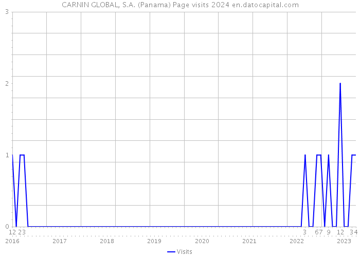 CARNIN GLOBAL, S.A. (Panama) Page visits 2024 