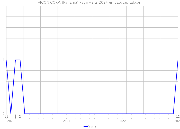 VICON CORP. (Panama) Page visits 2024 