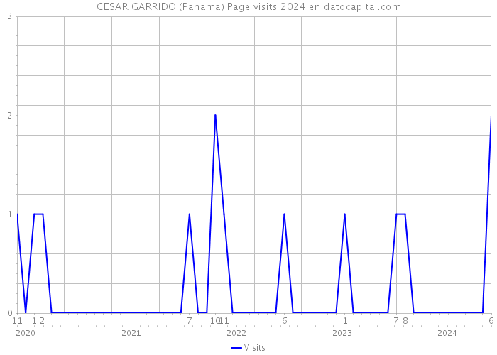 CESAR GARRIDO (Panama) Page visits 2024 