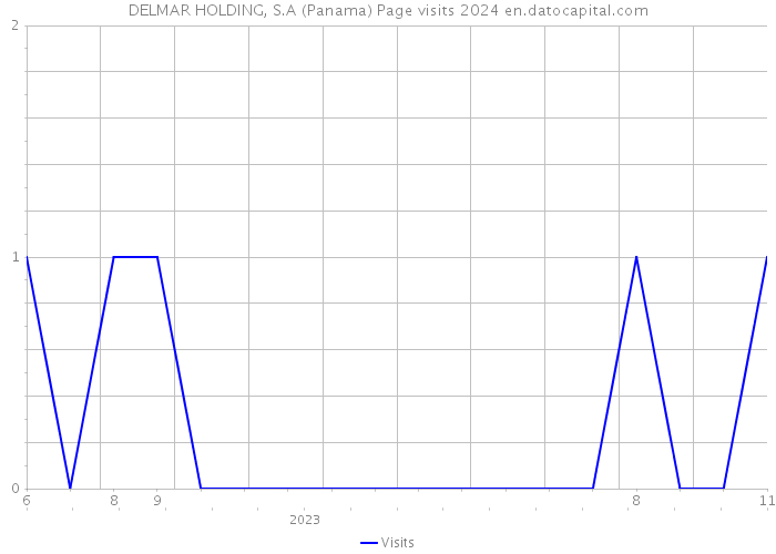 DELMAR HOLDING, S.A (Panama) Page visits 2024 