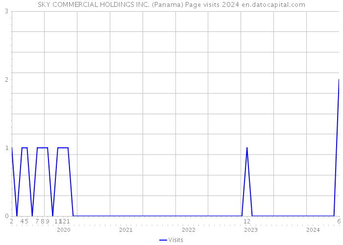 SKY COMMERCIAL HOLDINGS INC. (Panama) Page visits 2024 