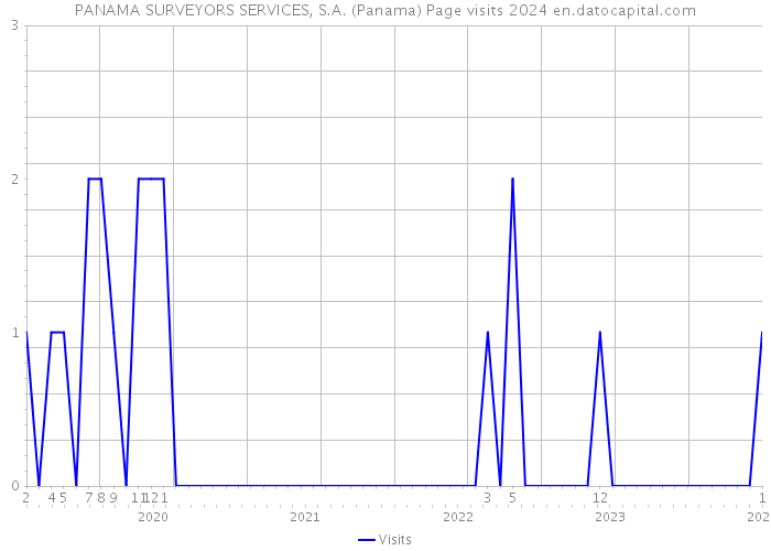 PANAMA SURVEYORS SERVICES, S.A. (Panama) Page visits 2024 