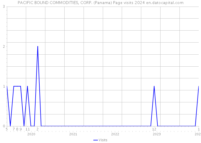 PACIFIC BOUND COMMODITIES, CORP. (Panama) Page visits 2024 