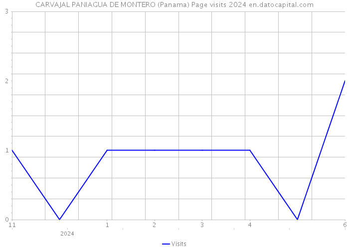 CARVAJAL PANIAGUA DE MONTERO (Panama) Page visits 2024 