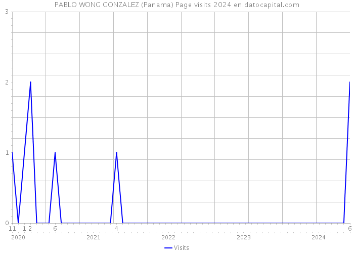 PABLO WONG GONZALEZ (Panama) Page visits 2024 