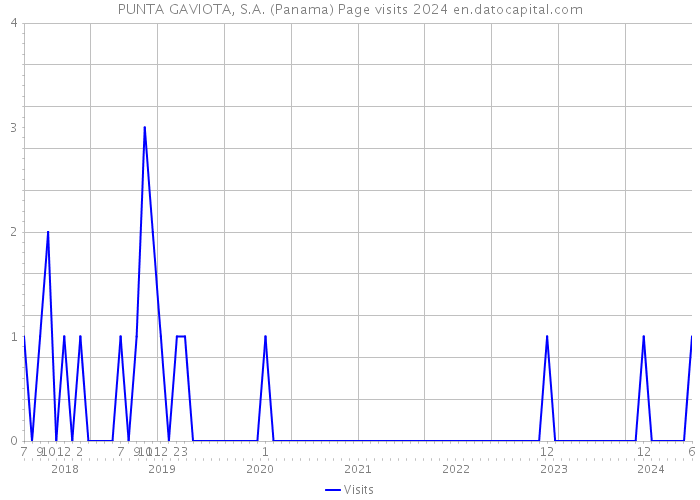 PUNTA GAVIOTA, S.A. (Panama) Page visits 2024 