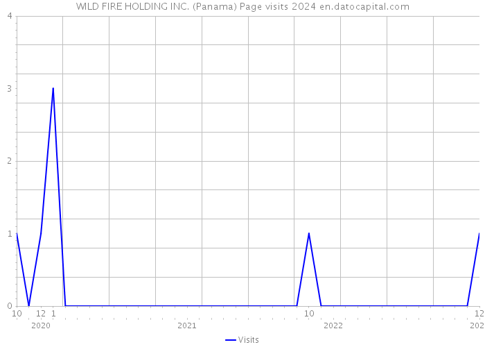 WILD FIRE HOLDING INC. (Panama) Page visits 2024 