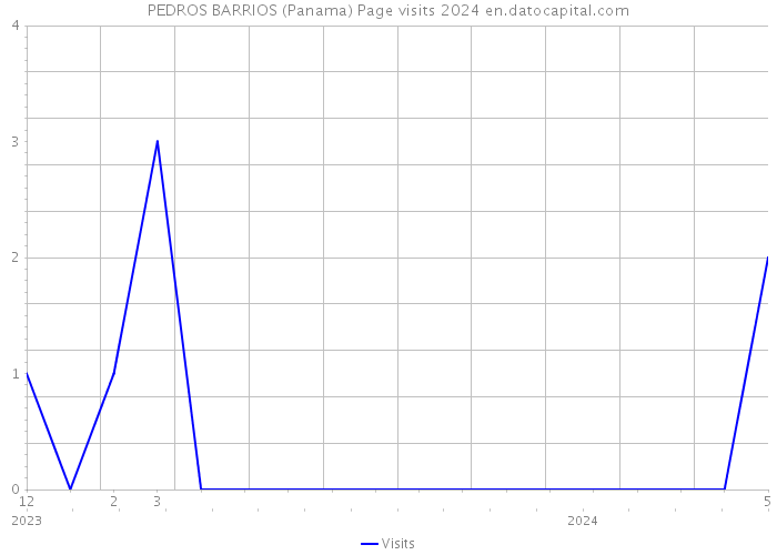 PEDROS BARRIOS (Panama) Page visits 2024 