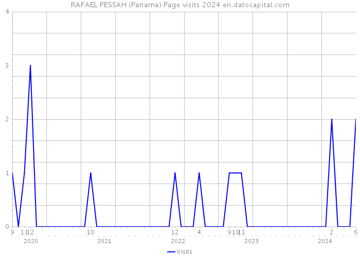 RAFAEL PESSAH (Panama) Page visits 2024 