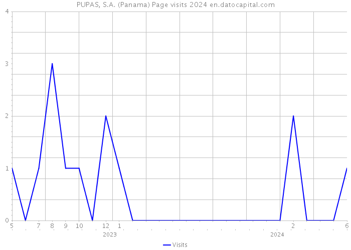 PUPAS, S.A. (Panama) Page visits 2024 