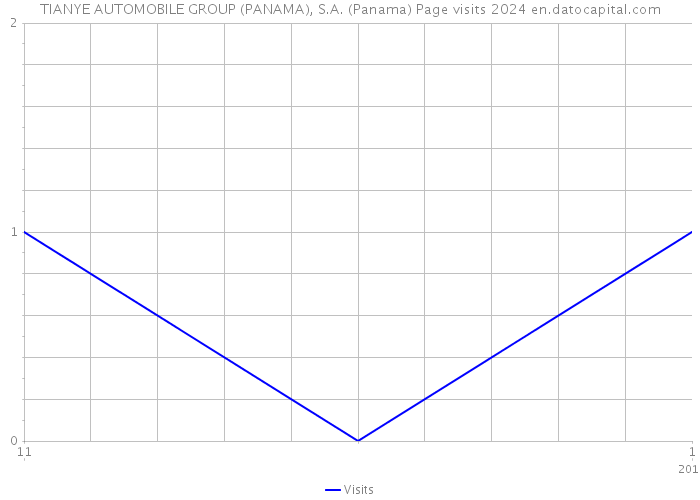 TIANYE AUTOMOBILE GROUP (PANAMA), S.A. (Panama) Page visits 2024 