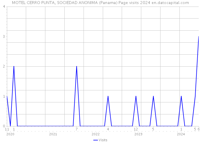 MOTEL CERRO PUNTA, SOCIEDAD ANONIMA (Panama) Page visits 2024 