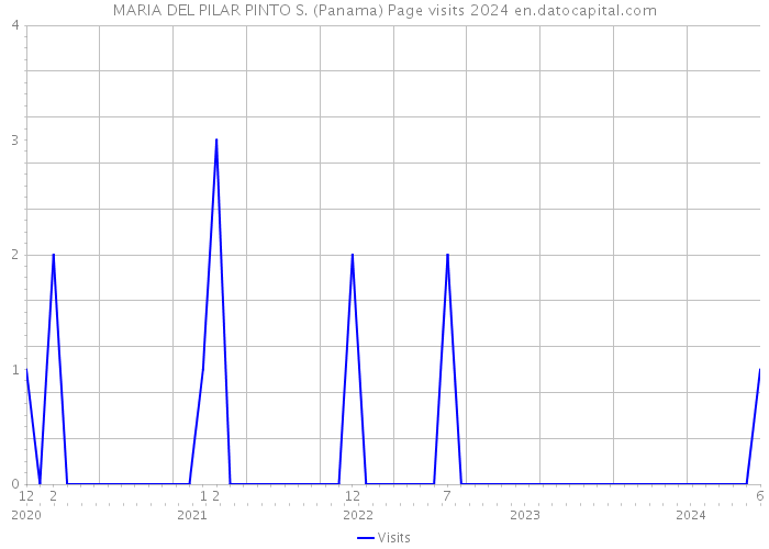 MARIA DEL PILAR PINTO S. (Panama) Page visits 2024 