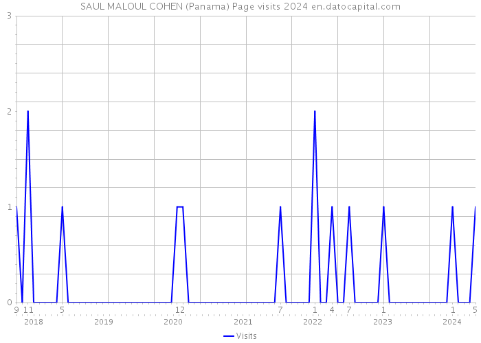 SAUL MALOUL COHEN (Panama) Page visits 2024 