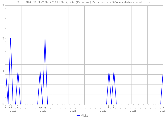 CORPORACION WONG Y CHONG, S.A. (Panama) Page visits 2024 