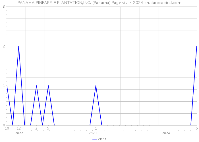 PANAMA PINEAPPLE PLANTATION,INC. (Panama) Page visits 2024 
