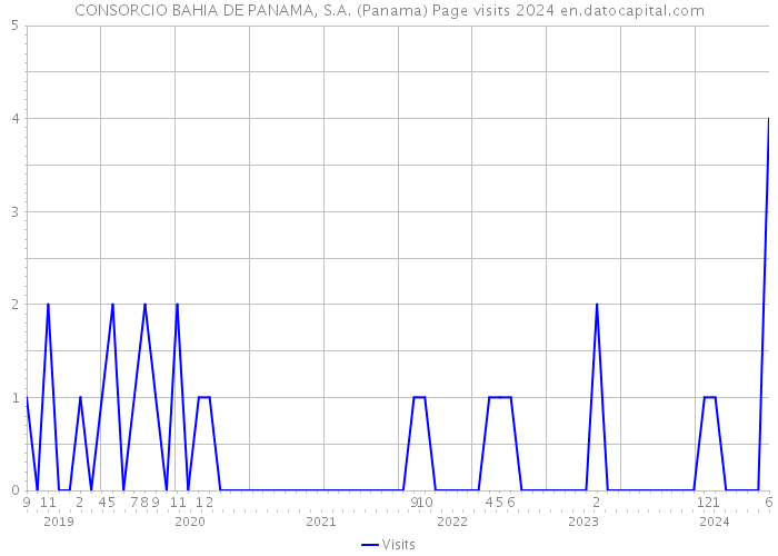 CONSORCIO BAHIA DE PANAMA, S.A. (Panama) Page visits 2024 