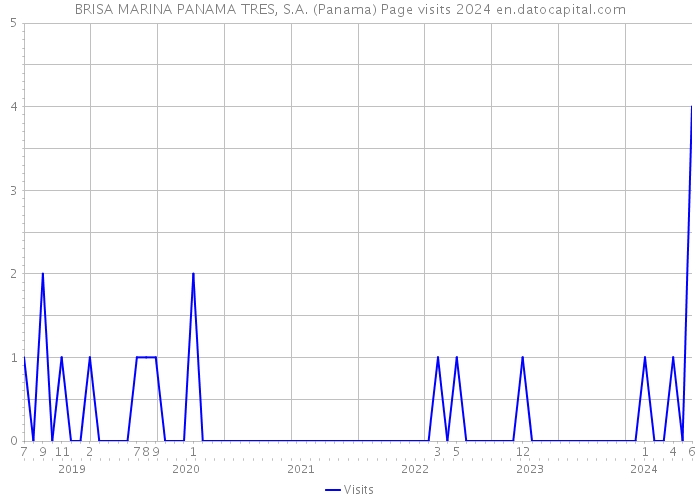 BRISA MARINA PANAMA TRES, S.A. (Panama) Page visits 2024 