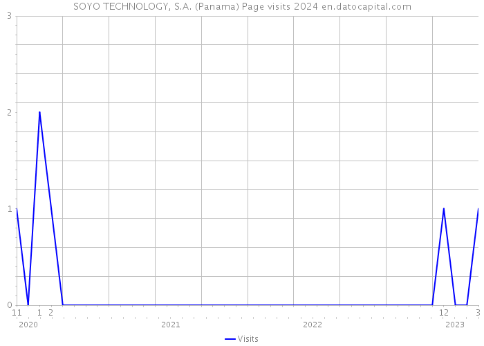 SOYO TECHNOLOGY, S.A. (Panama) Page visits 2024 
