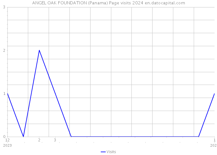 ANGEL OAK FOUNDATION (Panama) Page visits 2024 