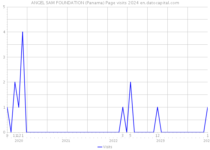 ANGEL SAM FOUNDATION (Panama) Page visits 2024 
