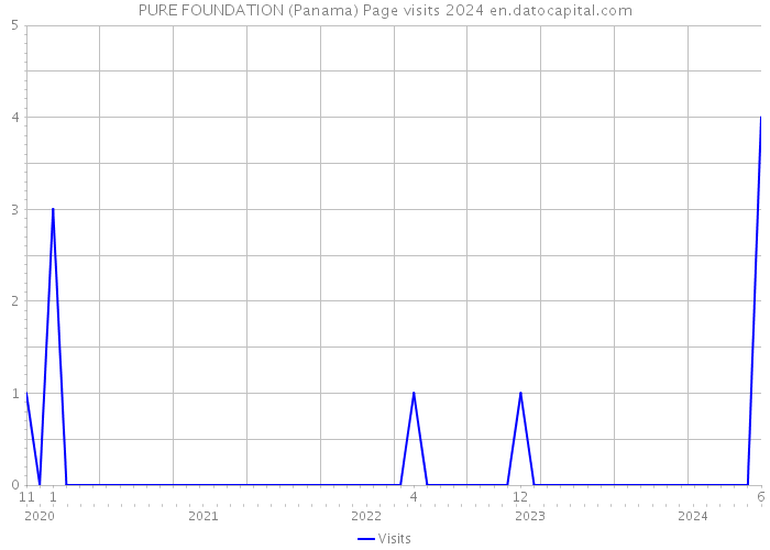 PURE FOUNDATION (Panama) Page visits 2024 
