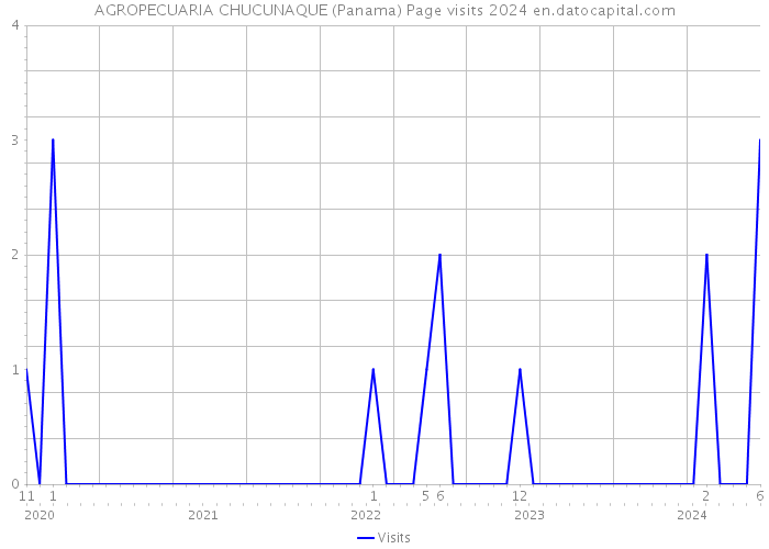 AGROPECUARIA CHUCUNAQUE (Panama) Page visits 2024 