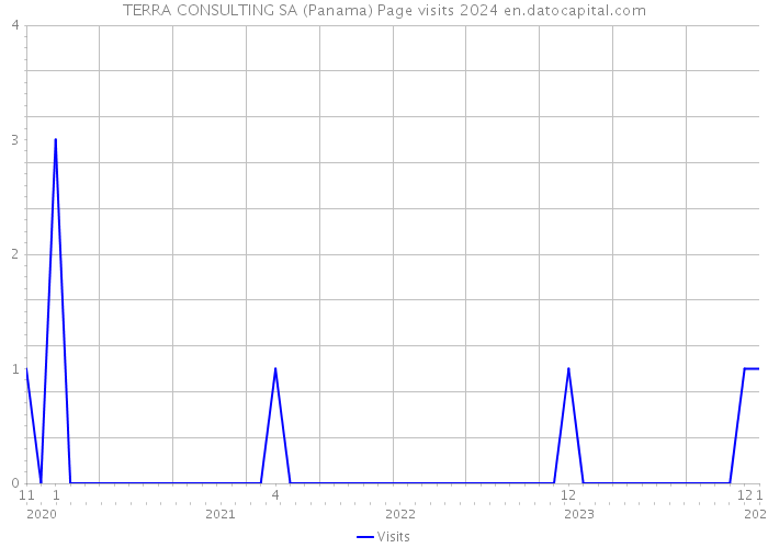 TERRA CONSULTING SA (Panama) Page visits 2024 