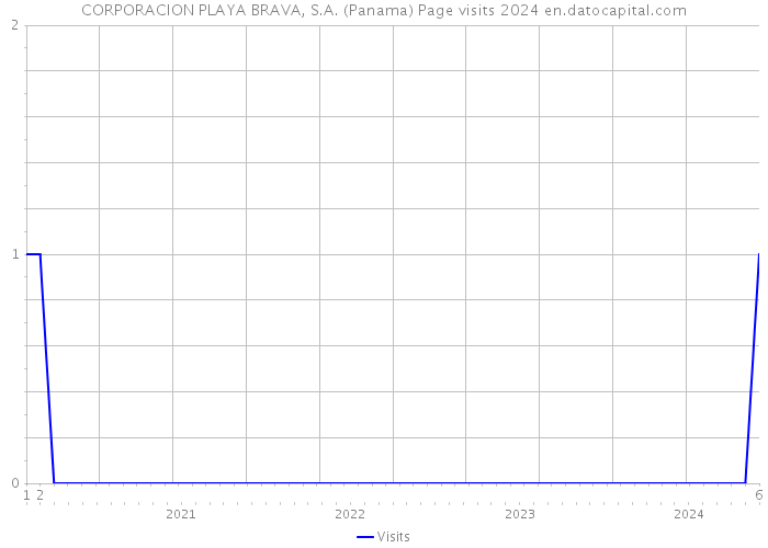 CORPORACION PLAYA BRAVA, S.A. (Panama) Page visits 2024 