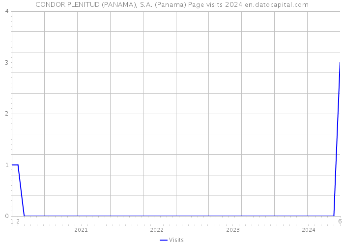 CONDOR PLENITUD (PANAMA), S.A. (Panama) Page visits 2024 