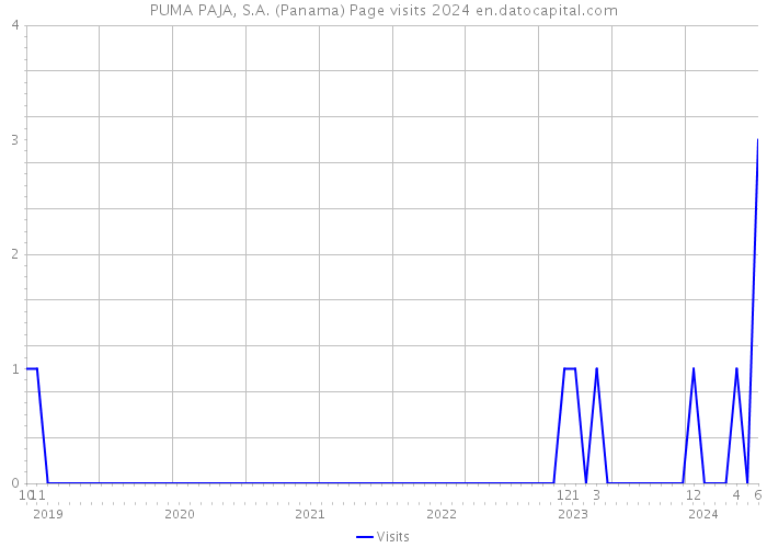 PUMA PAJA, S.A. (Panama) Page visits 2024 