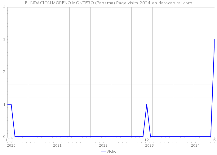 FUNDACION MORENO MONTERO (Panama) Page visits 2024 