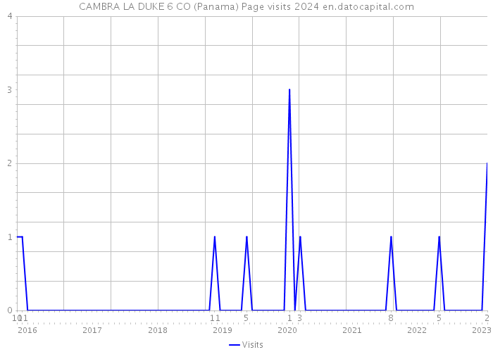 CAMBRA LA DUKE 6 CO (Panama) Page visits 2024 