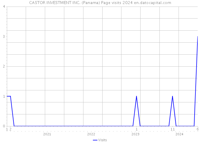 CASTOR INVESTMENT INC. (Panama) Page visits 2024 