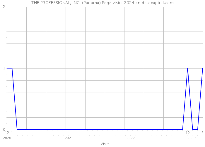 THE PROFESSIONAL, INC. (Panama) Page visits 2024 
