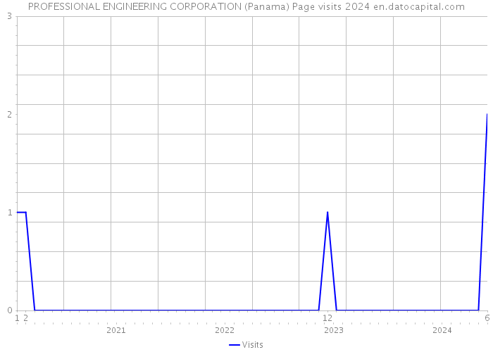 PROFESSIONAL ENGINEERING CORPORATION (Panama) Page visits 2024 