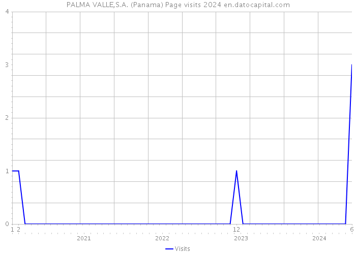 PALMA VALLE,S.A. (Panama) Page visits 2024 