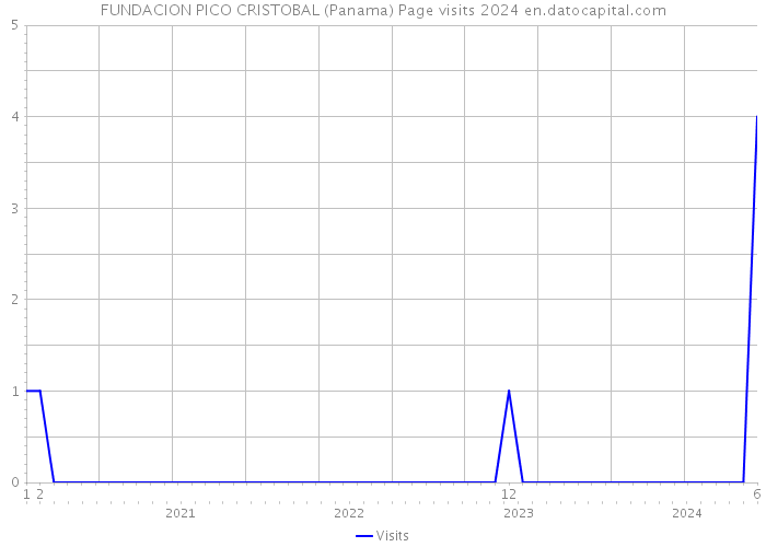 FUNDACION PICO CRISTOBAL (Panama) Page visits 2024 