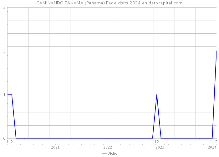 CAMINANDO PANAMA (Panama) Page visits 2024 