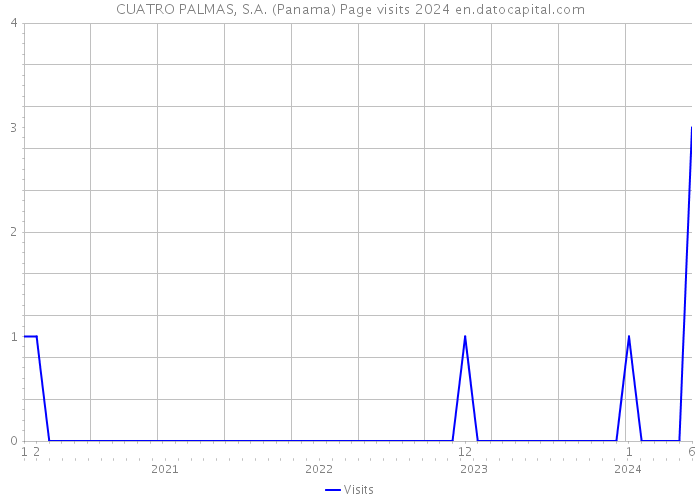 CUATRO PALMAS, S.A. (Panama) Page visits 2024 