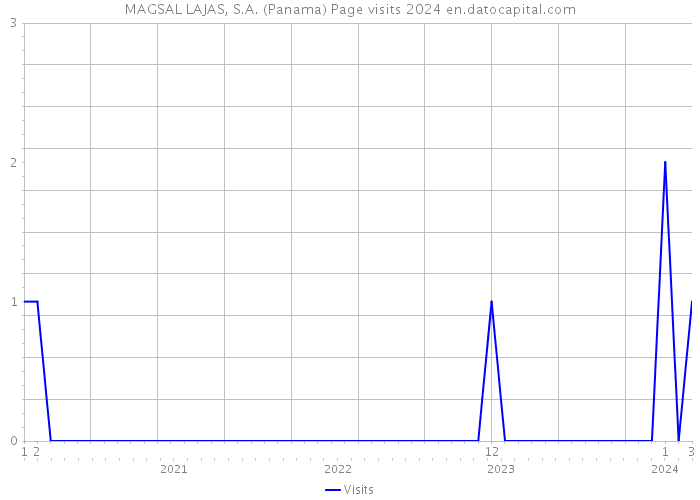 MAGSAL LAJAS, S.A. (Panama) Page visits 2024 