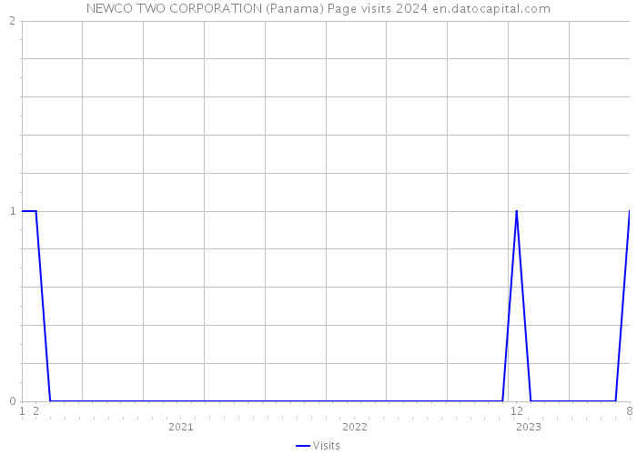 NEWCO TWO CORPORATION (Panama) Page visits 2024 