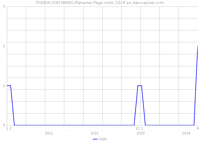 FUNDACION WAMS (Panama) Page visits 2024 