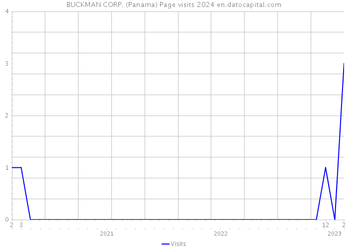 BUCKMAN CORP. (Panama) Page visits 2024 